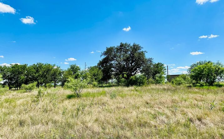 Pictures of Land property located at TBD Hwy 206, 124909, TX 76443 for sales - image #1