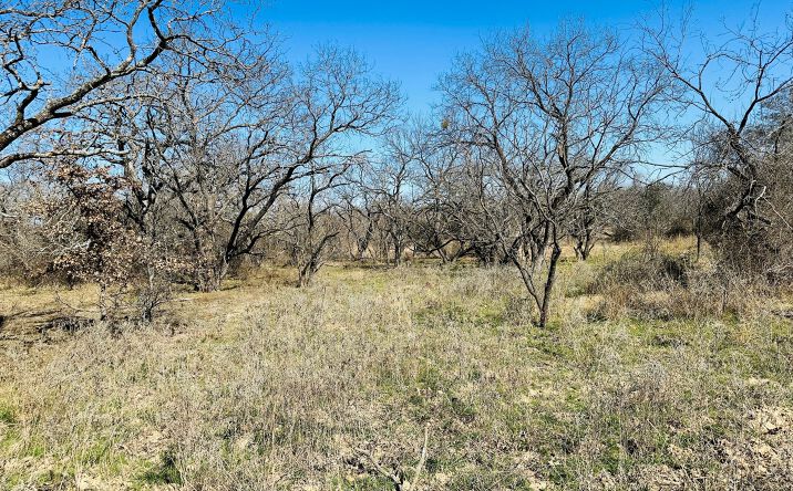 Pictures of Land property located at TBD CR 239, 128627, TX 76471 for sales - image #1