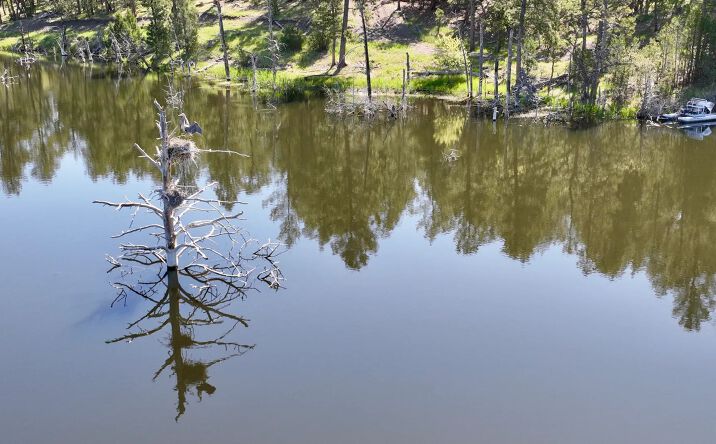 Pictures of Land property located at 100 Mule Creek Rd, 149936, WY 82720 for sales - image #1