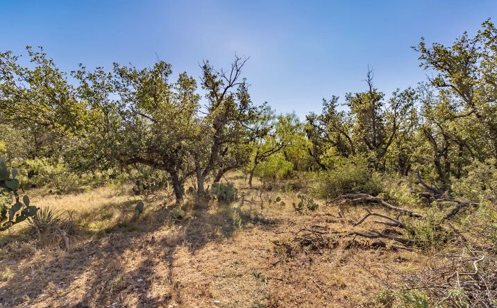 Pictures of Land property located at Timber Trail Rd., 125268, TX 76837 for sales - image #1