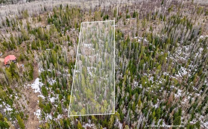 Pictures of Land property located at Lot 98 South Station II, 16961, CO 80467 for sales - image #1