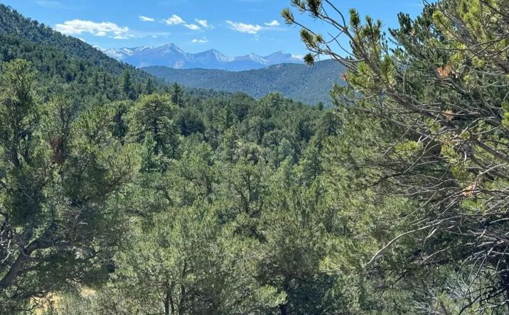 Pictures of Land property located at Lot 9 Sundance Road, 16216, CO 81223 for sales - image #1