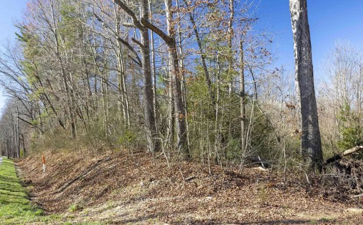 Pictures of Land property located at TBD S Hwy 16, 95029, NC 28697 for sales - image #1