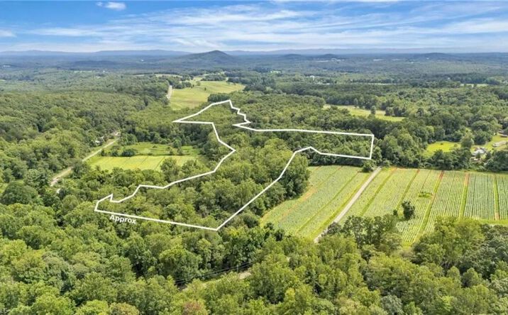 Pictures of Land property located at TBD N Old Highway 21, 94563, NC 28683 for sales - image #1