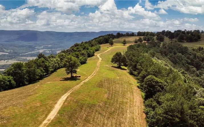 Pictures of Land property located at 0 TBD Hwy 74E, 9128, AR 72655 for sales - image #1