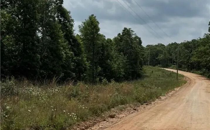 Pictures of Land property located at 0 TBD Plumlee Road, 7805, AR 72624 for sales - image #1