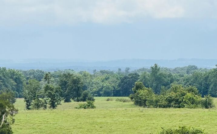 Pictures of Land property located at 7245 Clifty Hwy., 8602, AR 72740 for sales - image #1