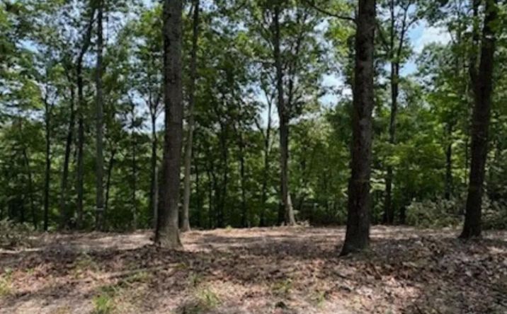 Pictures of Land property located at 0 TBD Bel Lago Drive, 8128, AR 72632 for sales - image #1