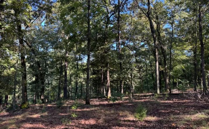Pictures of Land property located at 135 W Van Buren, 8128, AR 72632 for sales - image #1