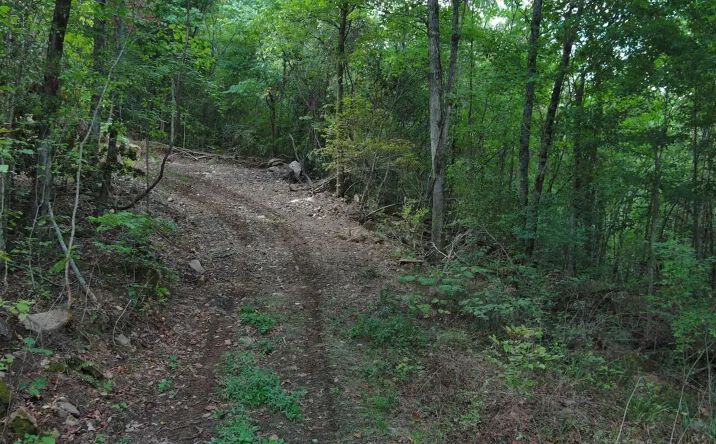 Pictures of Land property located at HC 33 Box 102, 7805, AR 72642 for sales - image #1