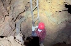 29457585