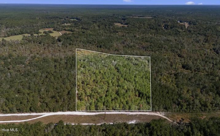Pictures of Land property located at 0 Green Swamp Road NW, 94445, NC 28462 for sales - image #1