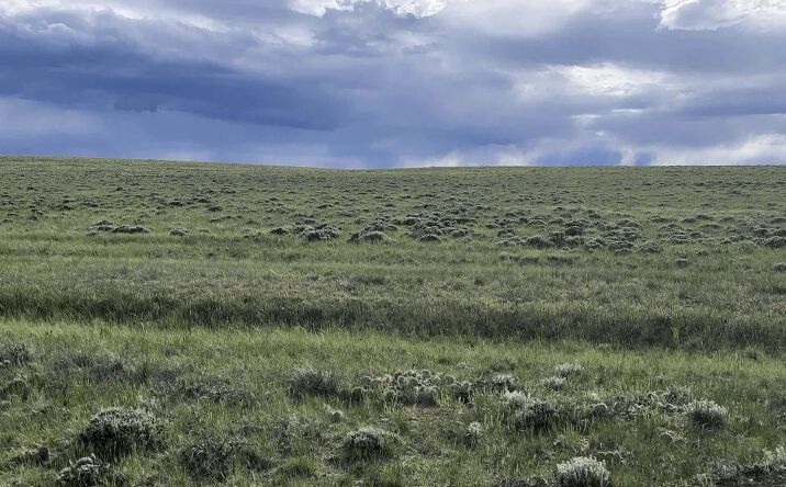 Pictures of Land property located at Lot 78 Byerly Drive, 150103, WY 82329 for sales - image #1
