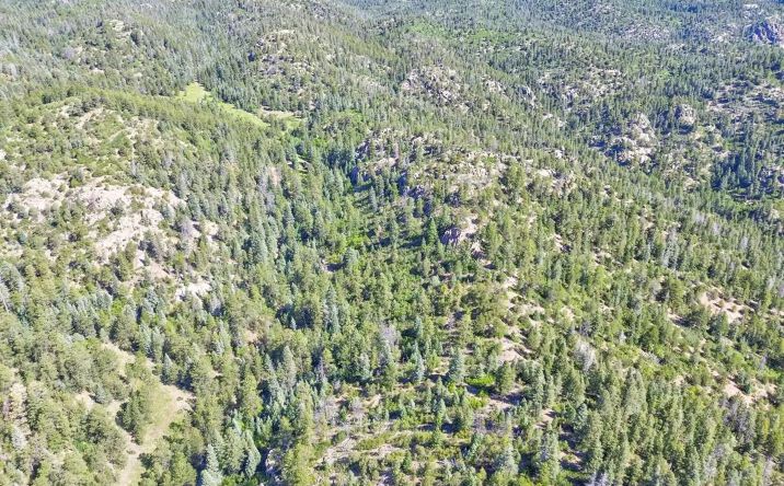 Pictures of Land property located at 21691 County Road 67, 17047, CO 81240 for sales - image #1