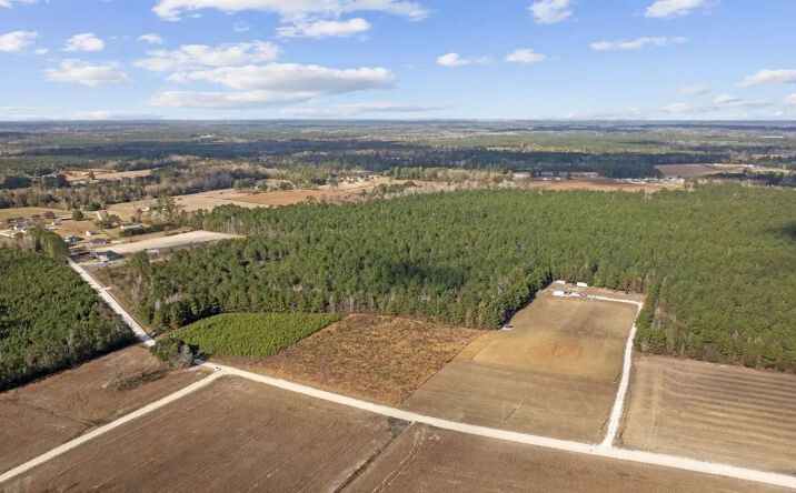 Pictures of Land property located at Lot 2 W G Road, 114568, SC 29526 for sales - image #1