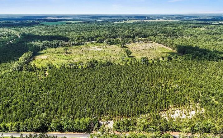 Pictures of Land property located at 0 Tbd Mt Beulah Drive Road, 117585, SC 29856 for sales - image #1