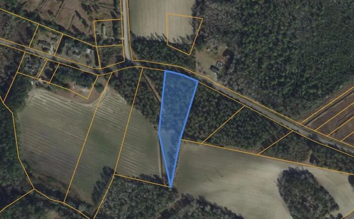 Pictures of Land property located at LOT 4 Apple Valley Road, 115872, SC 29569 for sales - image #1