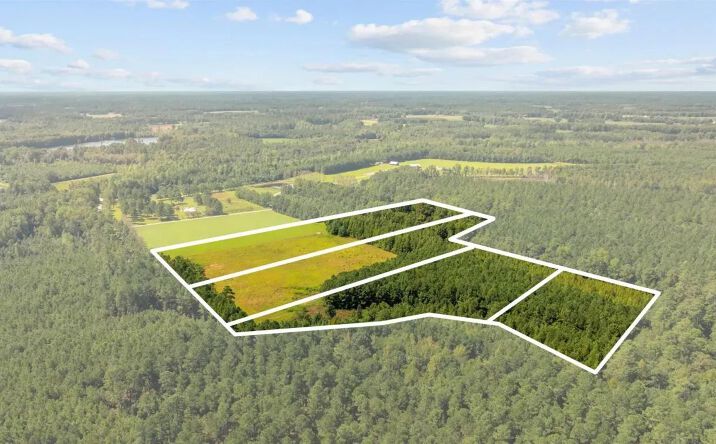 Pictures of Land property located at Lot 1 Womack Road, 116191, SC 29581 for sales - image #1