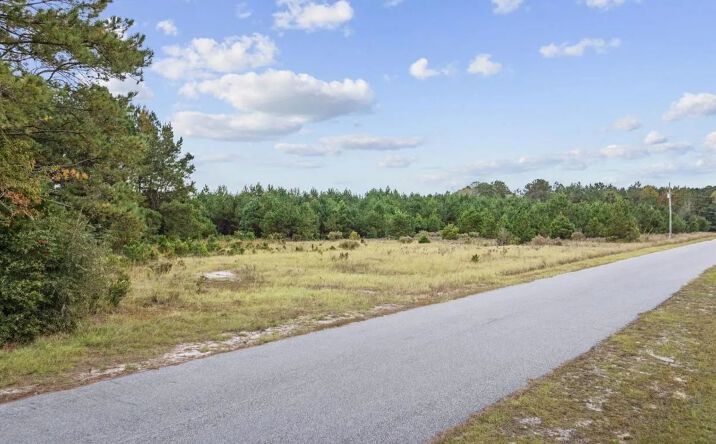 Pictures of Land property located at lots 3-9 Creek Landing Road, 116191, SC 29581 for sales - image #1