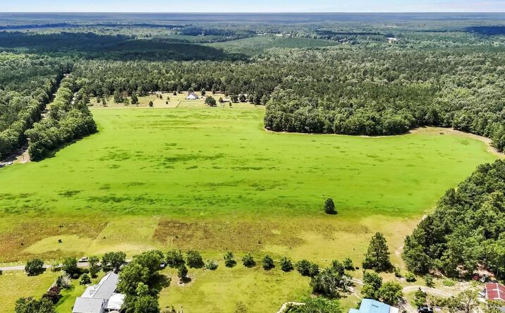 Pictures of Land property located at Lot 3 Mt Beulah Road, 117585, SC 29856 for sales - image #1