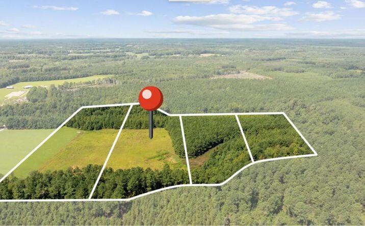 Pictures of Land property located at Lot 3 Womack Road, 116191, SC 29581 for sales - image #1