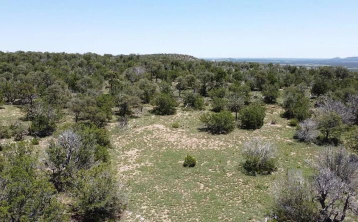 Pictures of Land property located at Lot 16 Swayback Trail, 82351, NM 87047 for sales - image #1
