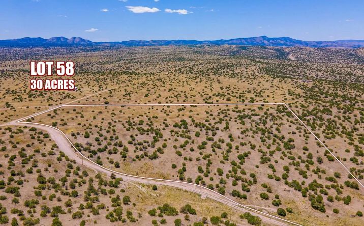 Pictures of Land property located at 58 Pinon Springs Road, 82068, NM 87825 for sales - image #1