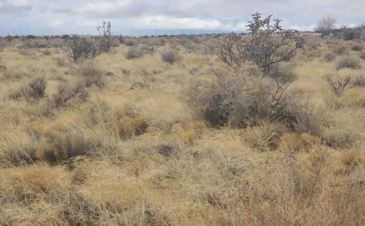Pictures of Land property located at 14th Street SW, 83188, NM 87124 for sales - image #1