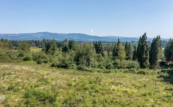 Pictures of Land property located at 22411 S Schram Road, 103021, OR 97004 for sales - image #1