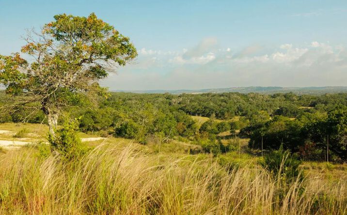 Pictures of Land property located at 3067 Ranch Road 1888, 124024, TX 78606 for sales - image #1