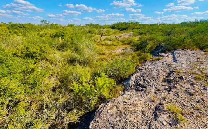 Pictures of Land property located at San Diego TX CR 103, 128862, TX 78384 for sales - image #1