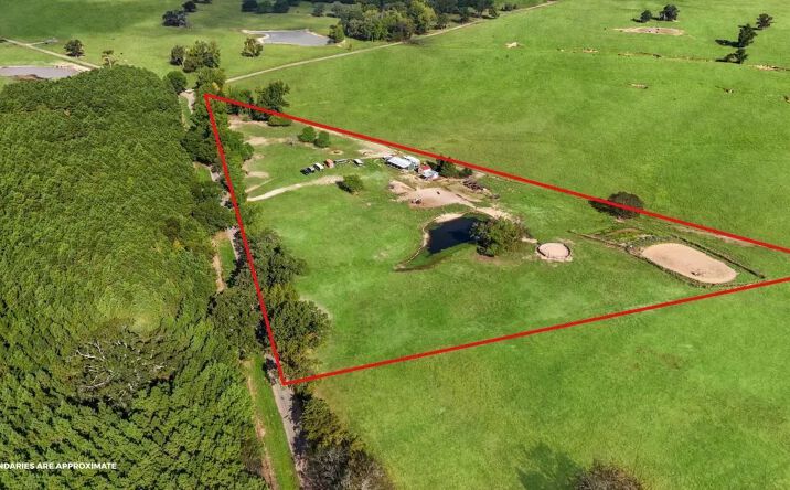 Pictures of Land property located at 1786 Co Rd 1070, 127559, TX 75455 for sales - image #1