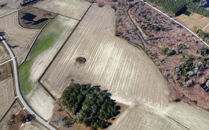 Pictures of Land property located at 35.65 acres Shelley Road, 116191, SC 29581 for sales - image #1