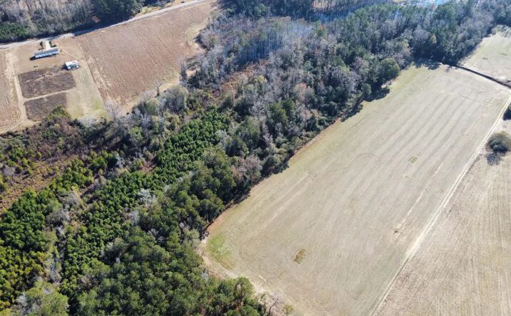Pictures of Land property located at 20.85 acres Highway 917, 116191, SC 29581 for sales - image #1