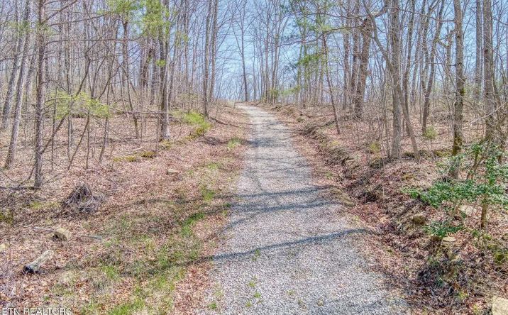 Pictures of Land property located at 74 Black Cat Trail, 122332, TN 37854 for sales - image #1