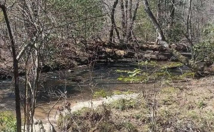 Pictures of Land property located at 255/329 Copperhead Road, 121783, TN 37829 for sales - image #1