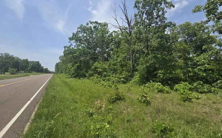 Pictures of Land property located at 1719 State Hwy 64, 75567, MO 65783 for sales - image #1