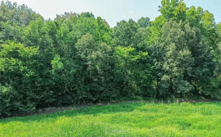 Pictures of Land property located at 0000 Childress Road 1, 46925, KY 42053 for sales - image #1
