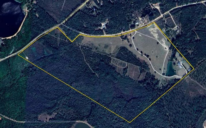Pictures of Land property located at 947 Bellhouse Road, 29176, GA 31217 for sales - image #1