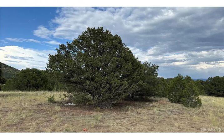 Pictures of Land property located at (TBD) 21st Trail, 16216, CO 81223 for sales - image #1