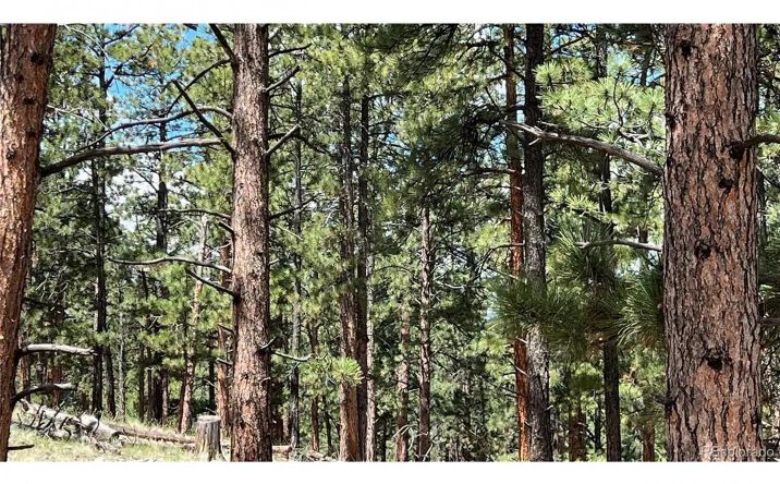 Pictures of Land property located at 207 Little Bear Drive, 17503, CO 81252 for sales - image #1