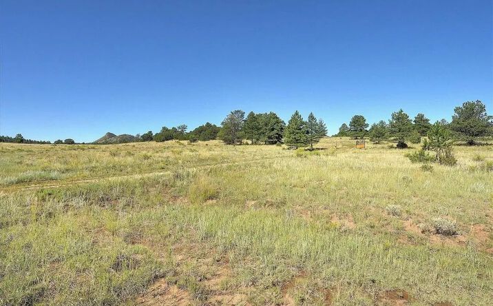 Pictures of Land property located at 1106 Hull Avenue, 17503, CO 81252 for sales - image #1