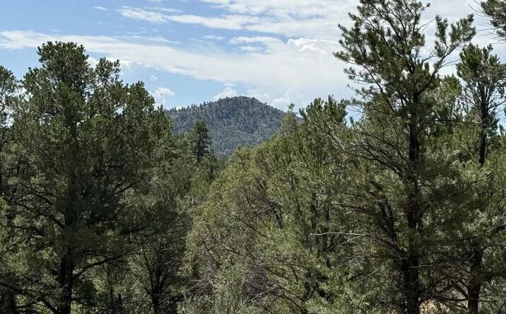 Pictures of Land property located at 876 Q Path, 16216, CO 81223 for sales - image #1