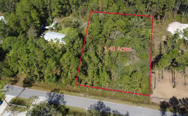 Pictures of Land property located at 4240 Malanie Street, 22387, FL 32145 for sales - image #1