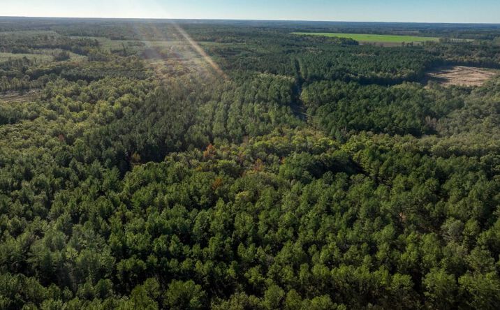 Pictures of Land property located at Off of Old Savannah Rd, Perkins, GA 30442 for sales - image #1