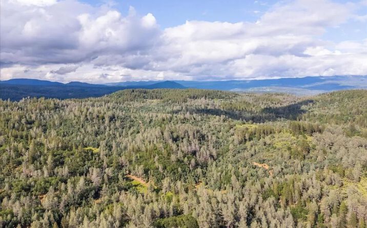 Pictures of Land property located at 00 Donkey Mine Road, 13866, CA 96069 for sales - image #1