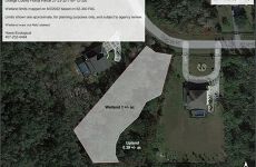 29464447