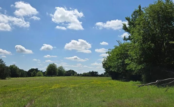 Pictures of Land property located at 12077 County Road 1200, 127154, TX 75148 for sales - image #1