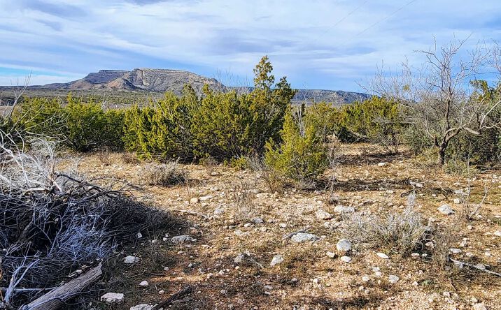 Pictures of Land property located at 189 Menielle Road, 128660, TX 76945 for sales - image #1