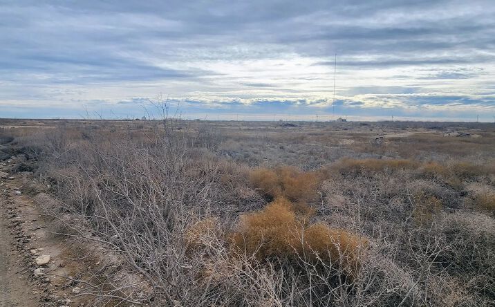 Pictures of Land property located at TBD HWY 137, 123982, TX 76932 for sales - image #1